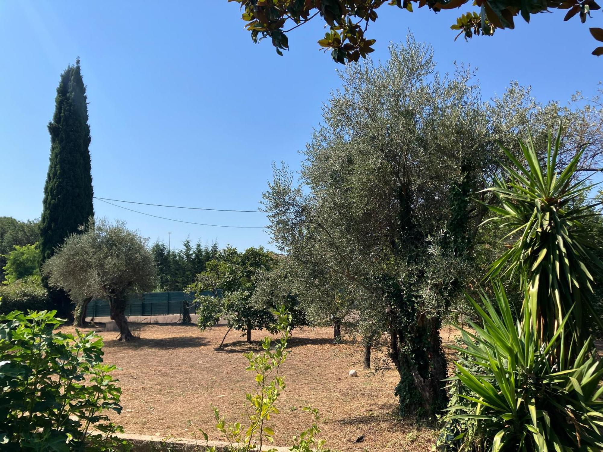 Villa Thyziri Roquefort-les-Pins Luaran gambar